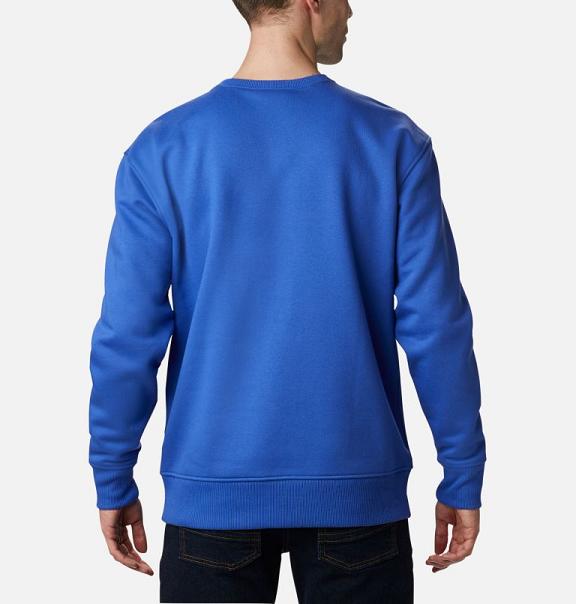 Columbia Bugasweat Hoodies Blue For Men's NZ47621 New Zealand